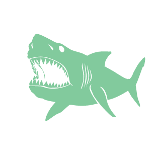 4040john's emblem