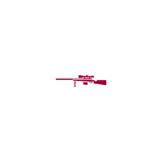 HevySkyWalker's emblem