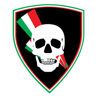 PIOGGIA DI FUOCO's emblem