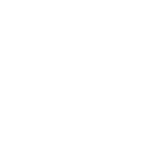 ZJM1919810's emblem