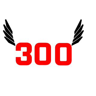 enigmmo3's emblem