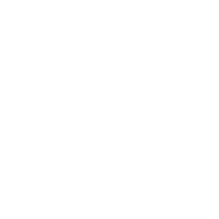 3OOsavager's emblem