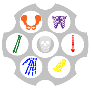 shadowVlight's emblem