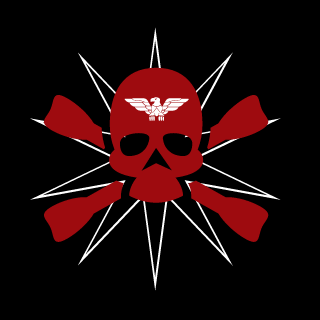CXI_Noctem's emblem