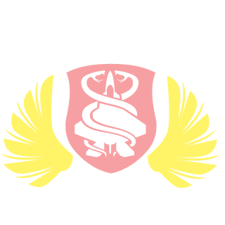 MustafaShaqlaway's emblem