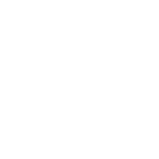 nevadopetrie's emblem