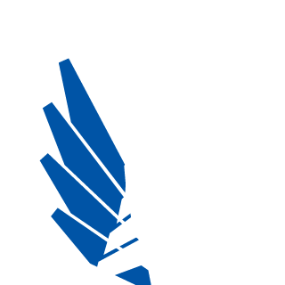 jerrychan63's emblem