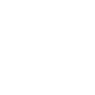 NV113's emblem