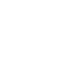 ExplosiveExpress's emblem