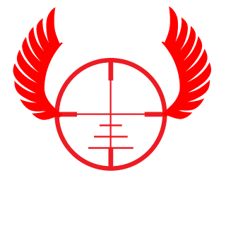 Dragonplayer063's emblem