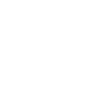DrCyber0829's emblem