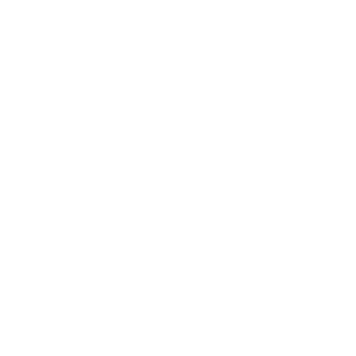 BLeiDik_RaIP's emblem
