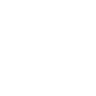 nikebboy's emblem
