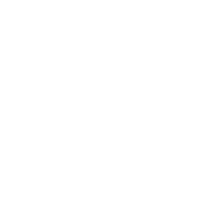 T0AST3D STRUD3L's emblem