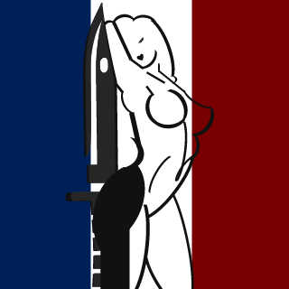 CodeOpossum2032's emblem