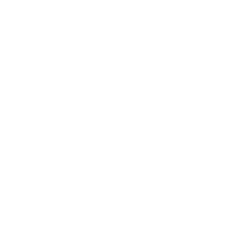 leoLOL258's emblem
