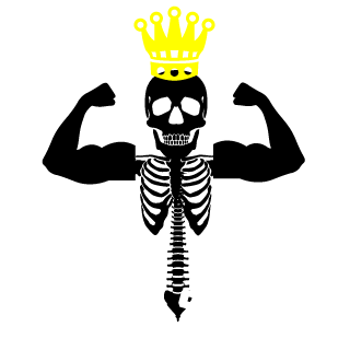 enigmagnetic's emblem