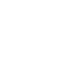 -Wings-Murphy's emblem
