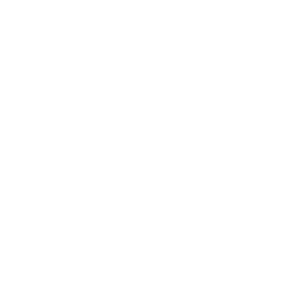 Suntracks's emblem