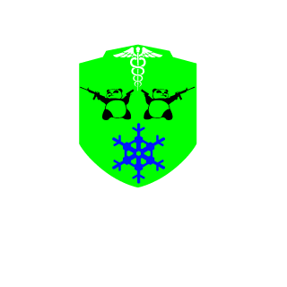 1R1ZZL3's emblem