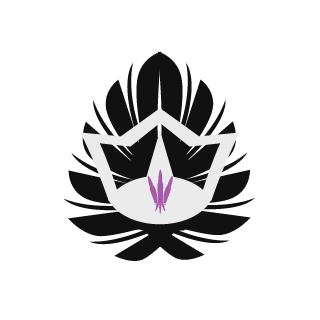 333_account's emblem