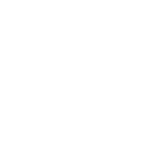 fritzinger99's emblem