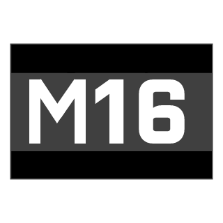 GOD_TRYHARD_M16's emblem