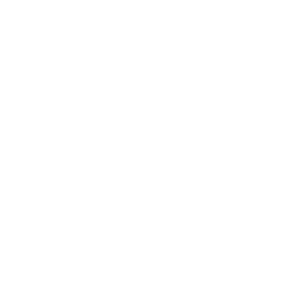 SHANDONGDanielWu's emblem
