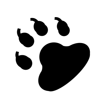 CrazedPixel26's emblem