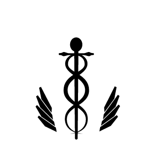 ZozraSylar's emblem