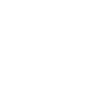 Aluminor's emblem