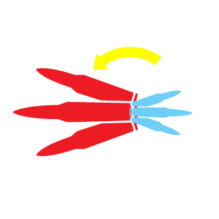 pitrick's emblem