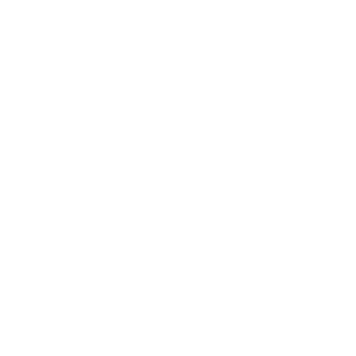 FOBOS314's emblem