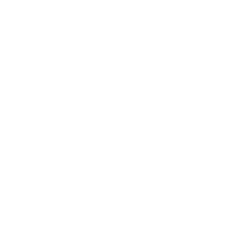RaydenTBZ's emblem