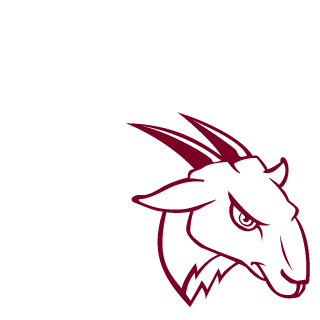 starion2600's emblem