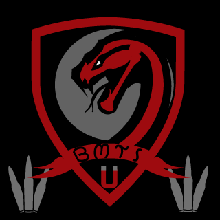 Bullet Magnets's emblem