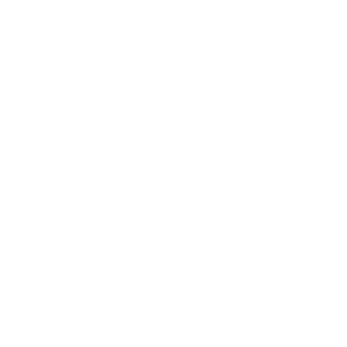 Coelho_Lok40's emblem
