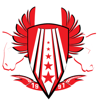 CinderStorm382's emblem
