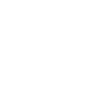 denir_junior's emblem