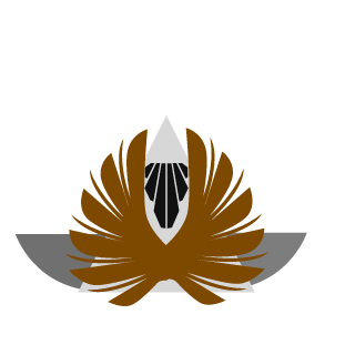 XancoBR's emblem