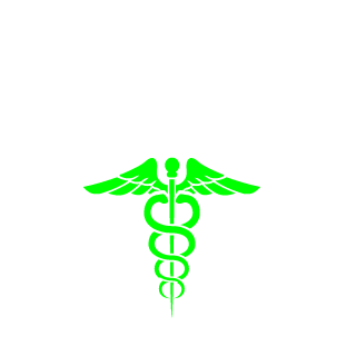 75FallenAngel's emblem