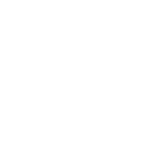 chevi-captiva's emblem