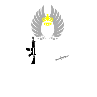 SomAd69's emblem