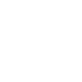 Lisenok01's emblem