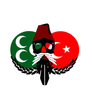 SM0OR_ly's emblem