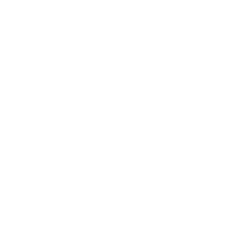DnsGam3r's emblem
