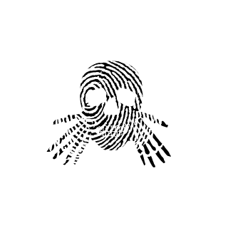 chornobrivets's emblem