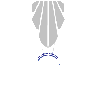 PashaShumilkin's emblem