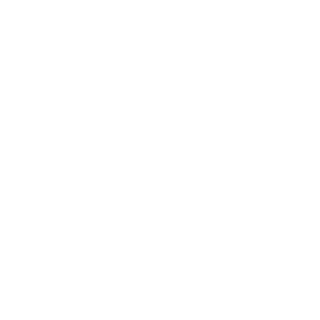 RonnocHD123's emblem