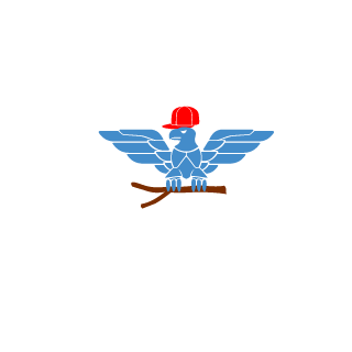 MeysamTF's emblem